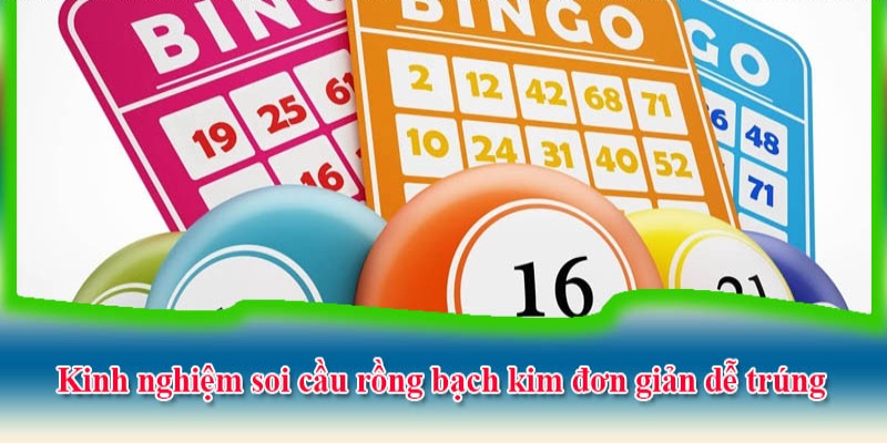 Kinh nghiệm soi cầu rồng bạch kim đạt hiệu quả cao