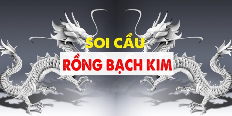 Tổng quan về phương pháp soi cầu rồng bạch kim